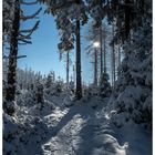 Winter im Harz