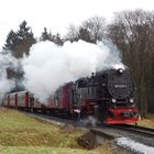 " Winter " im Harz