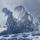 Winter im Harz