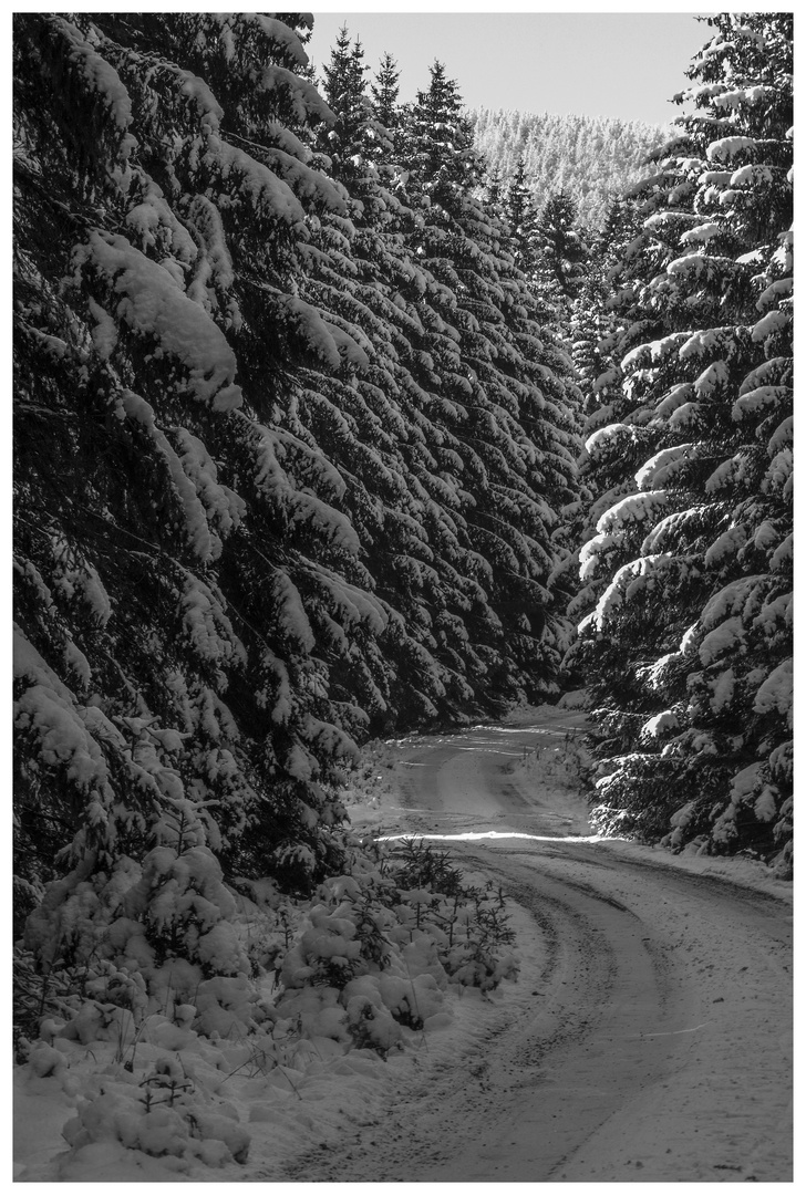 Winter im Harz 