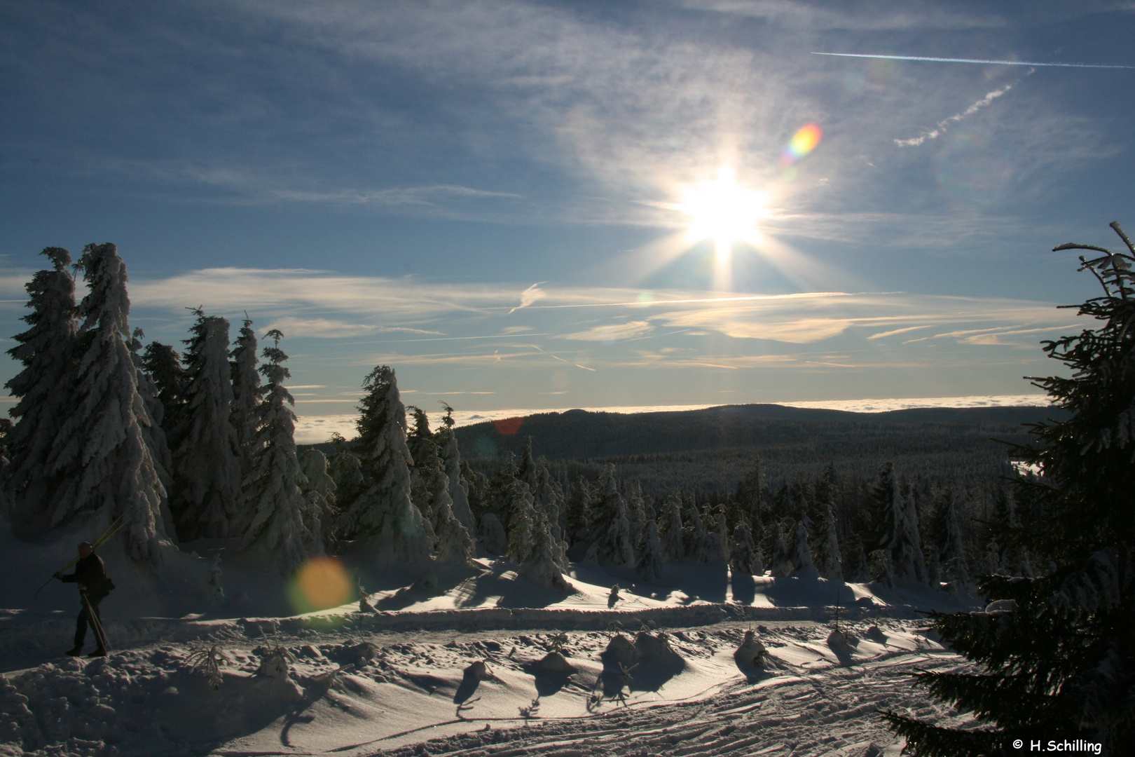 Winter im Harz II