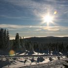 Winter im Harz II