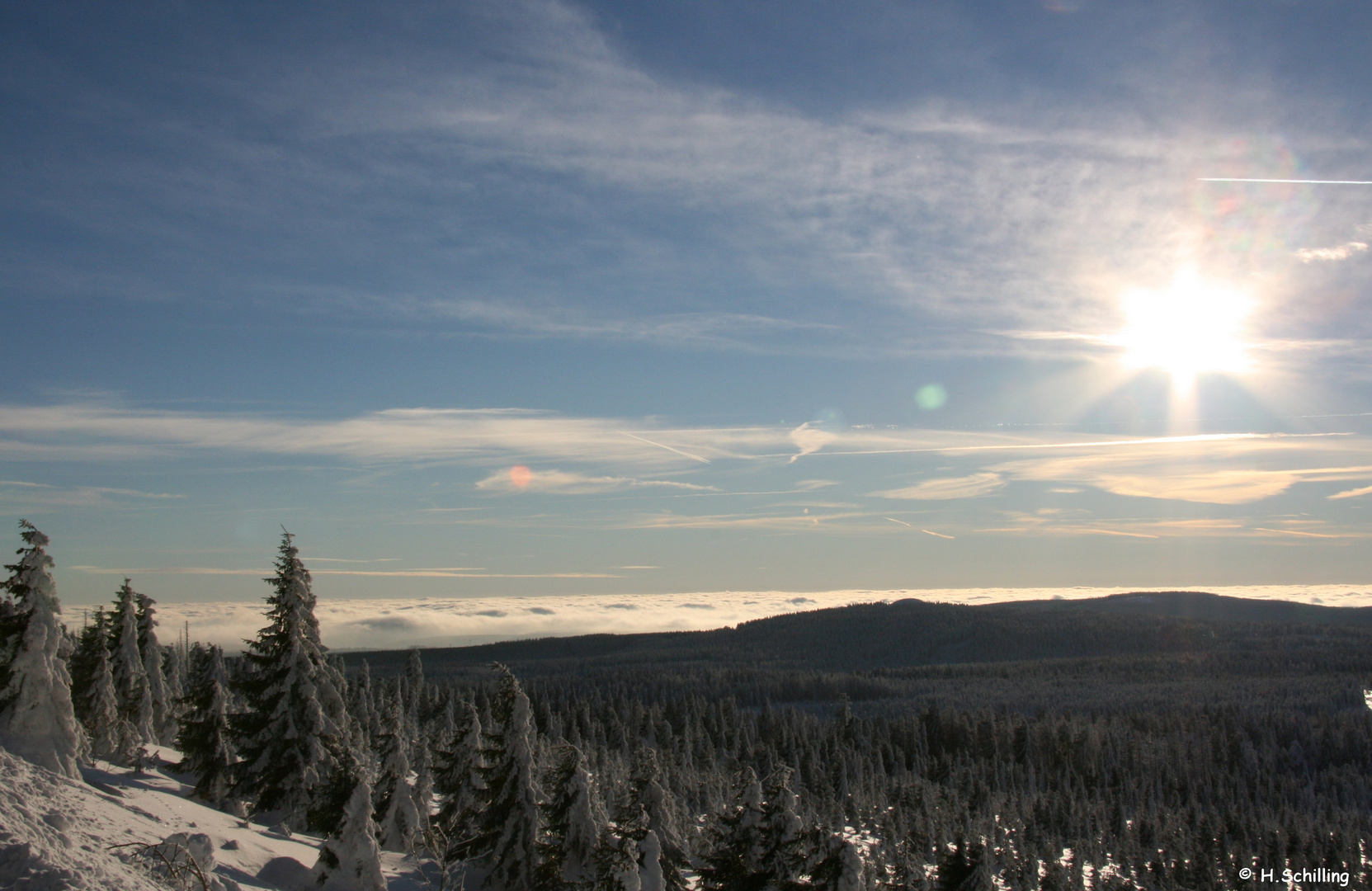 Winter im Harz III