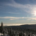 Winter im Harz III