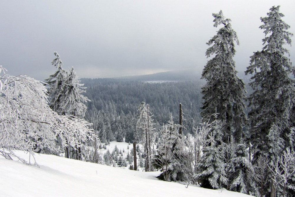 Winter im Harz (März09)