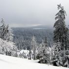 Winter im Harz (März09)