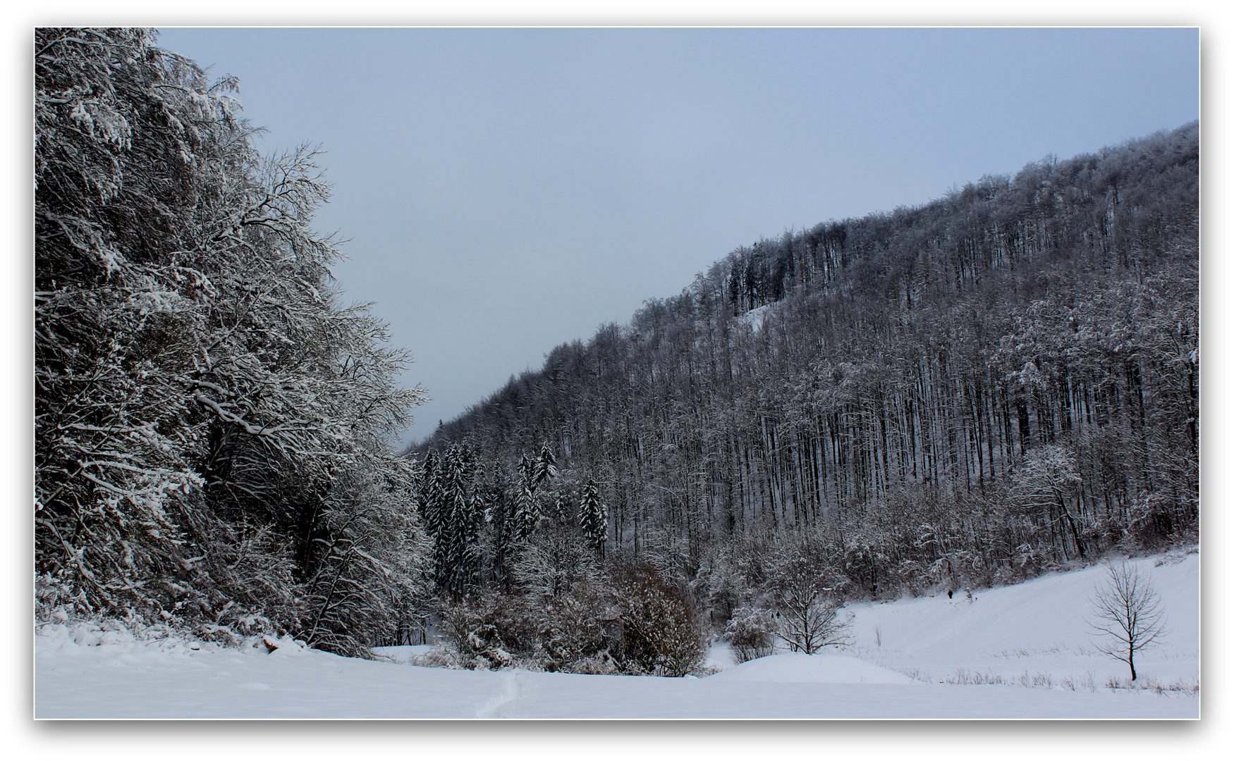 Winter im Hasental (I)...