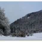 Winter im Hasental (I)...