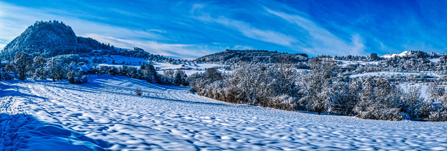 Winter im Hegau