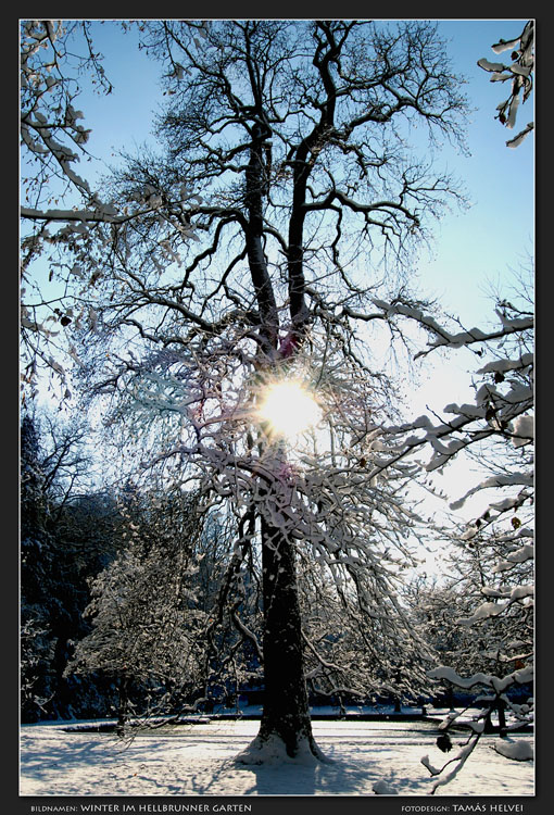 Winter im Hellbrunner Garten