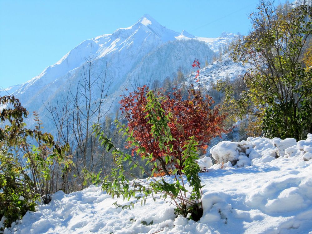 Winter im Herbst 27.10.2010