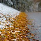 Winter im Herbst