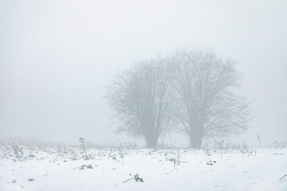 Winter im Herbst