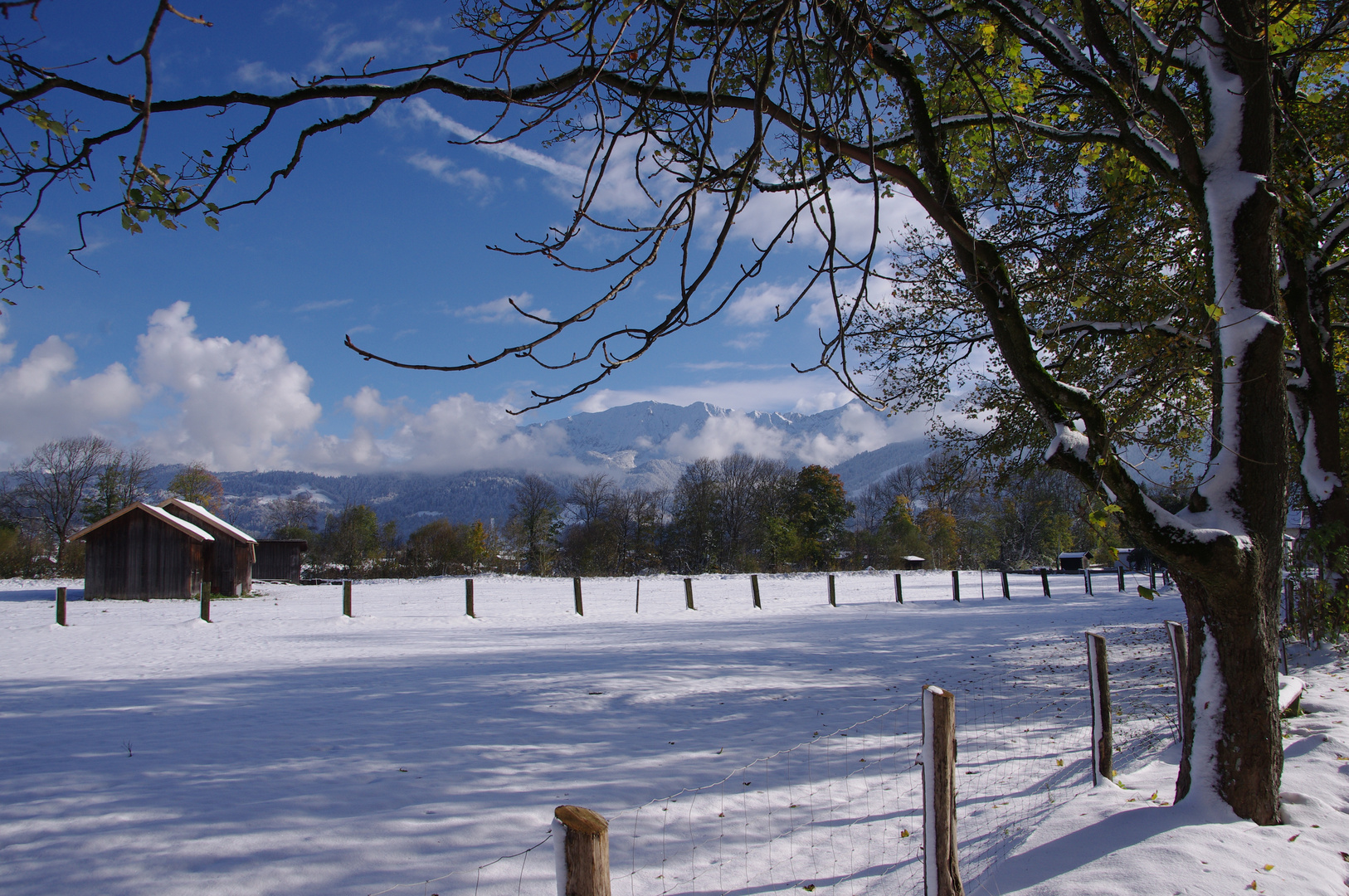 winter im herbst