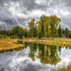 Winter im Herbst vor der Lower Schwabacher Landing