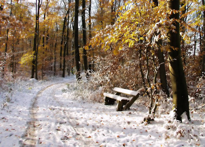 winter im herbstkleid