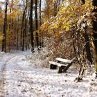 winter im herbstkleid