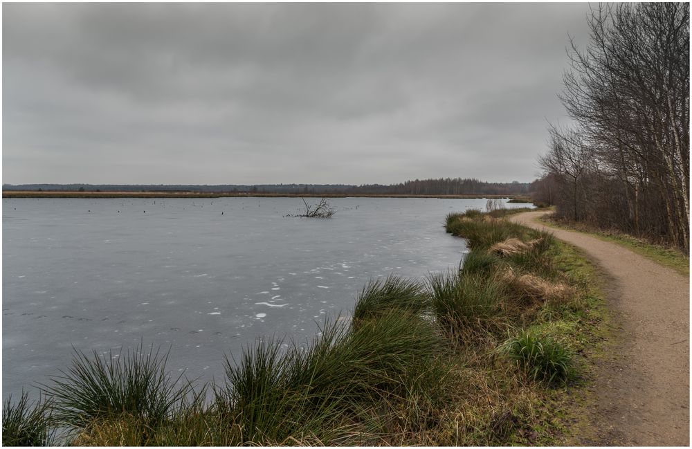 Winter im Himmelmoor