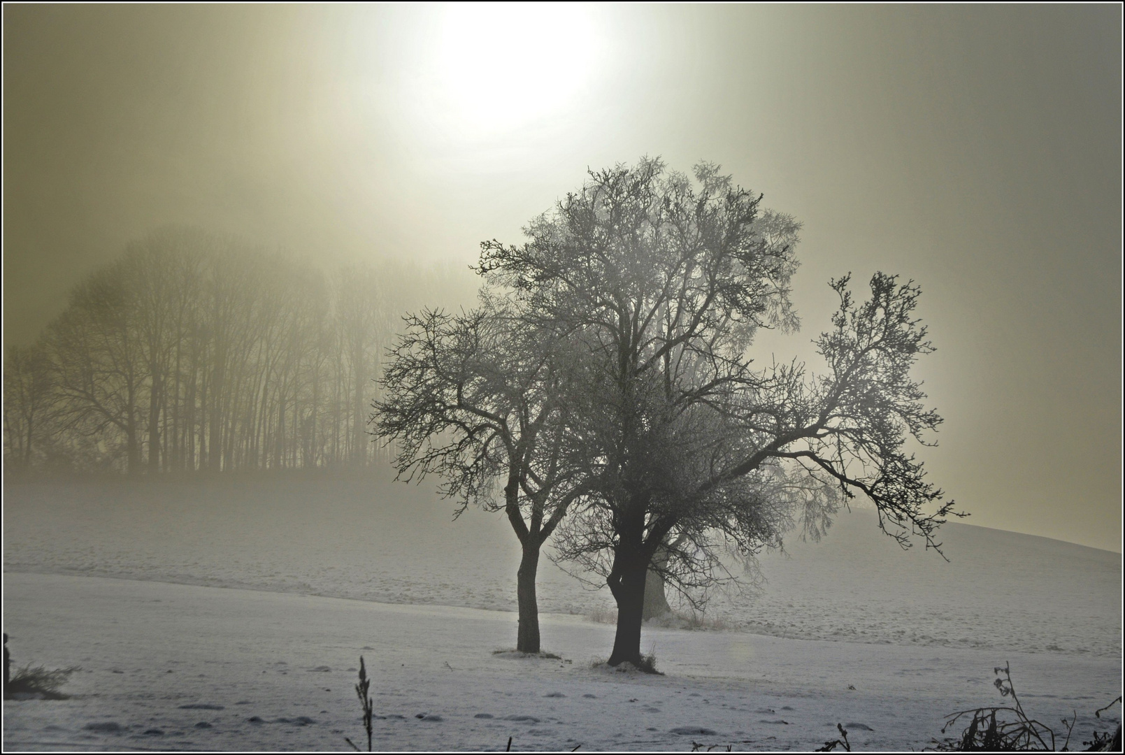 Winter im Hinterland