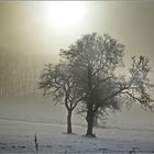 Winter im Hinterland