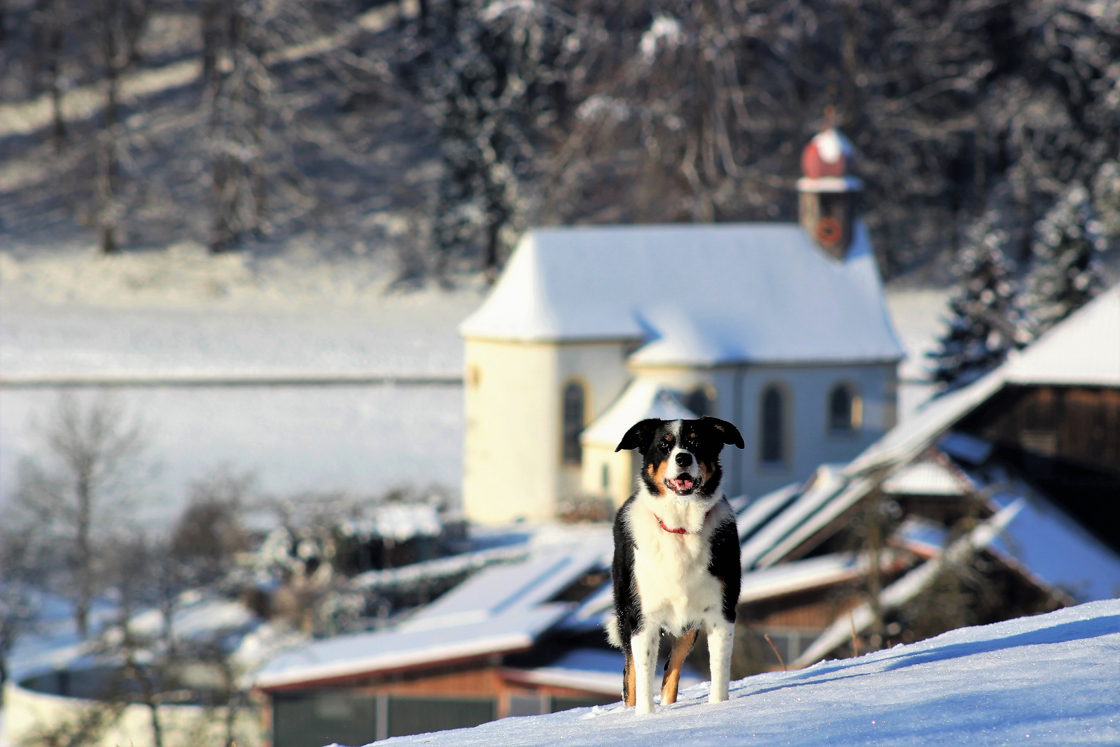 Winter im Hinterland