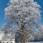 Winter im Hirschpark