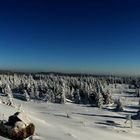 Winter im Hochharz