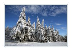 Winter im Hochsauerland