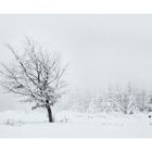 Winter im Hochsauerland