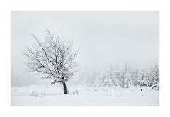 Winter im Hochsauerland