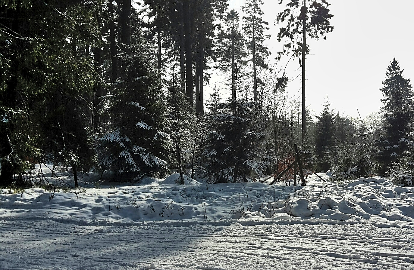 Winter im Hochsauerland