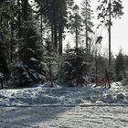 Winter im Hochsauerland