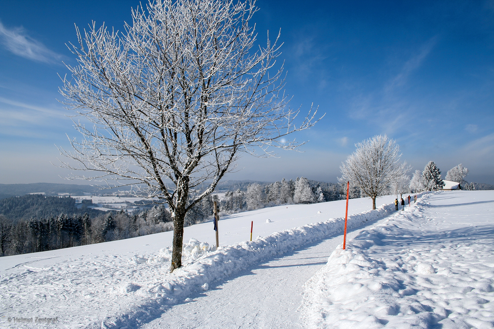 Winter im Hochschwarzwald (allerdings 2005)