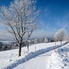 Winter im Hochschwarzwald (allerdings 2005)