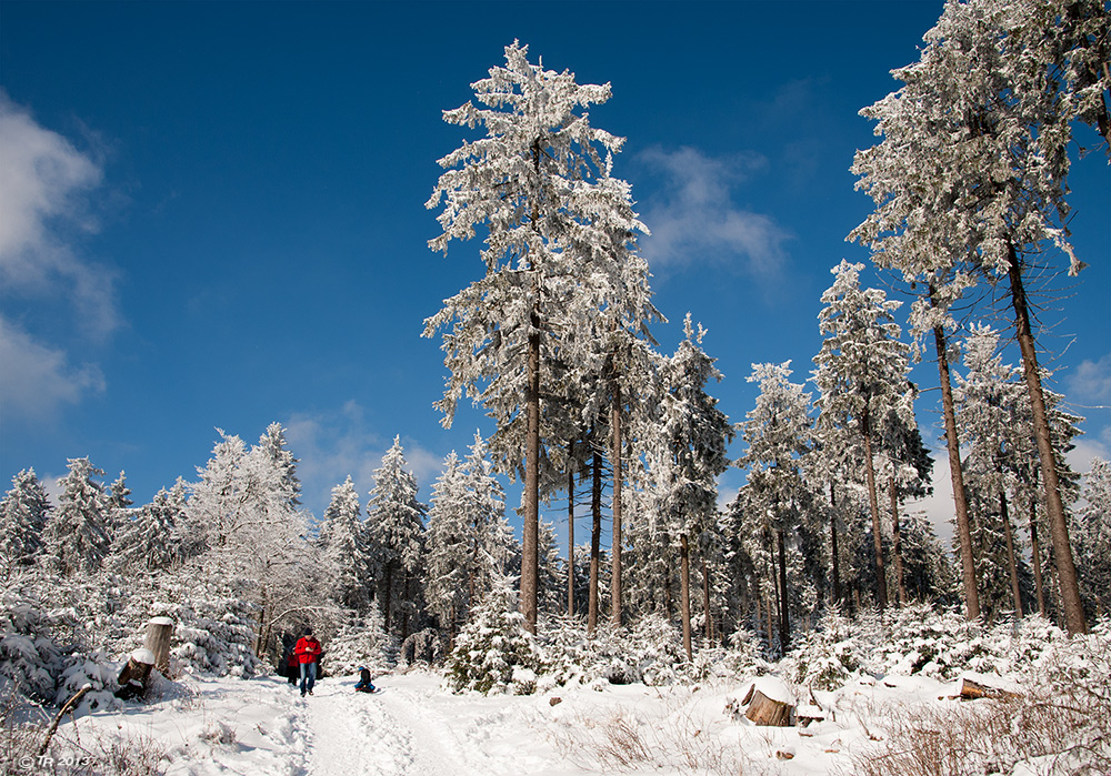 Winter im Hochtaunus