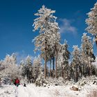 Winter im Hochtaunus