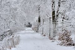 *Winter im Hochwald*