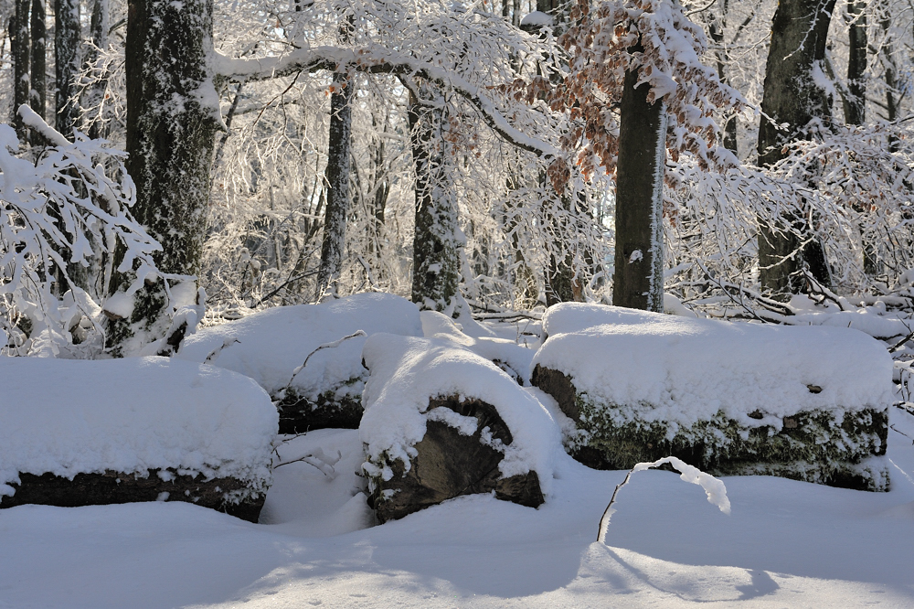 *Winter im Hochwald III*