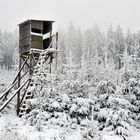 *Winter im Hochwald VI*