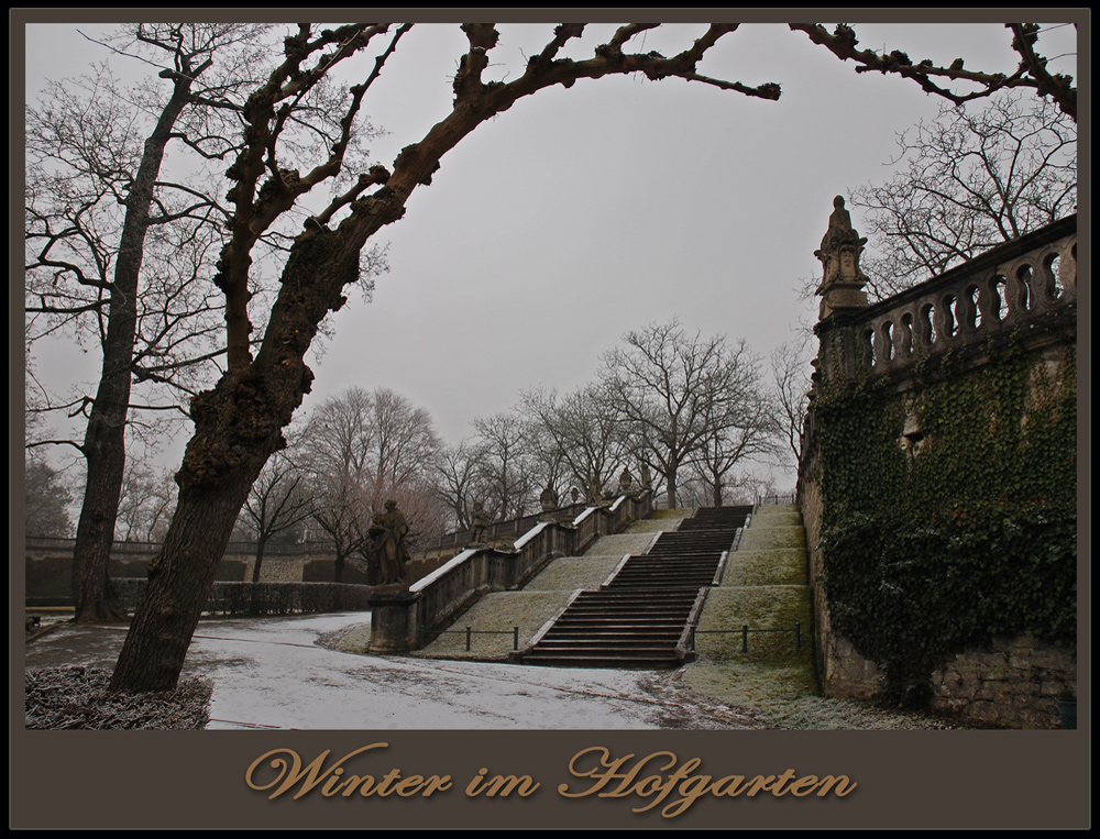 Winter im Hofgarten