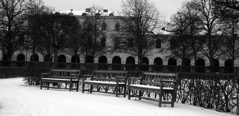 Winter im Hofgarten