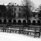 Winter im Hofgarten