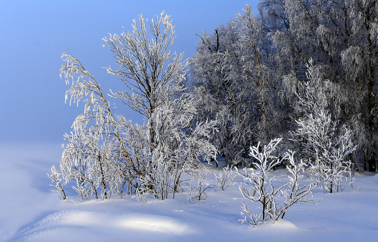 Winter im hohen Norden 2017.08 