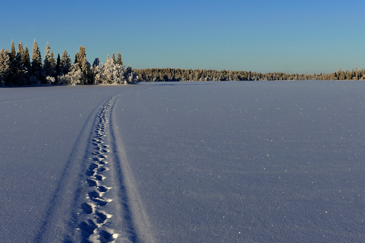 Winter im hohen Norden 2017.10 