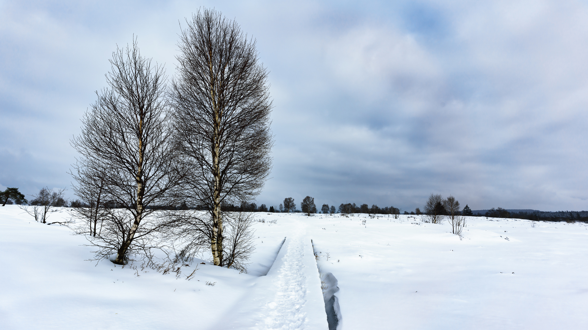 Winter im Hohen Venn 01, 2021.01.15