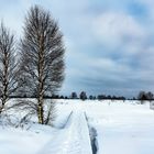 Winter im Hohen Venn 01, 2021.01.15