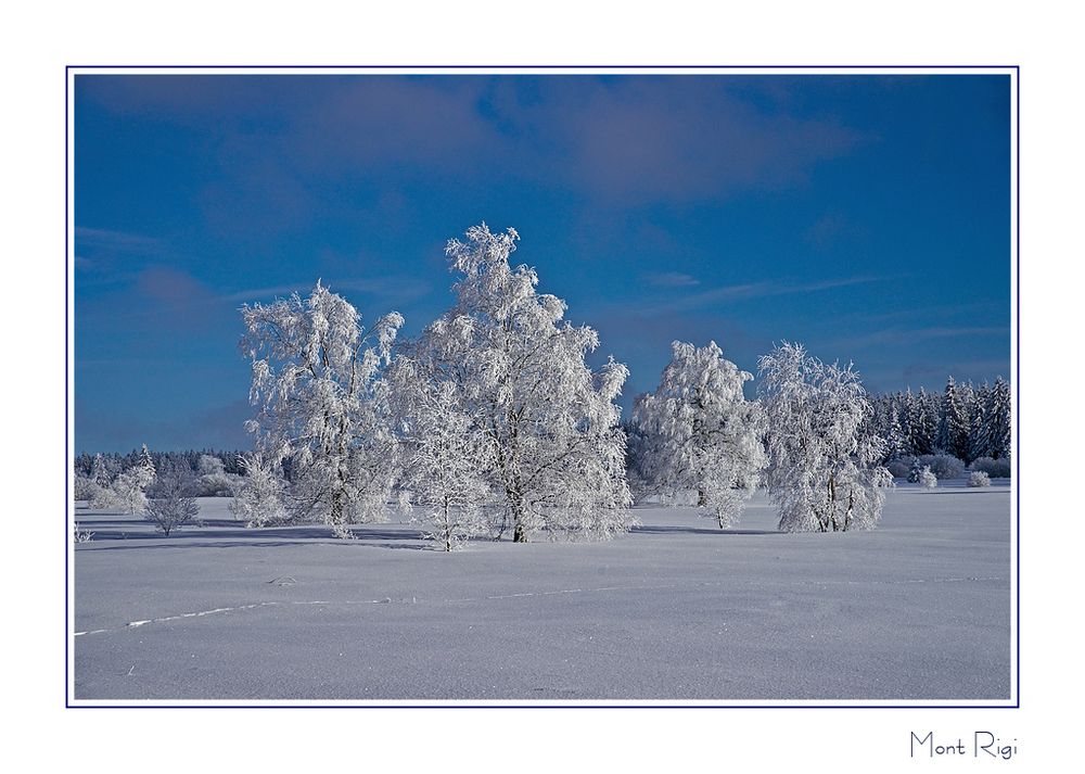 Winter im Hohen Venn 2