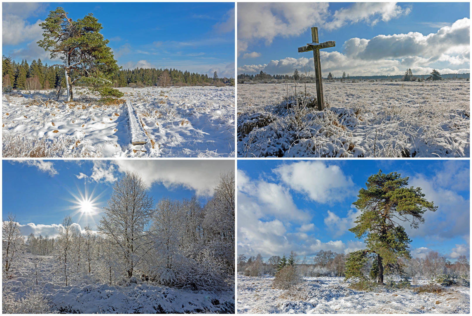 Winter im Hohen Venn