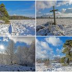 Winter im Hohen Venn