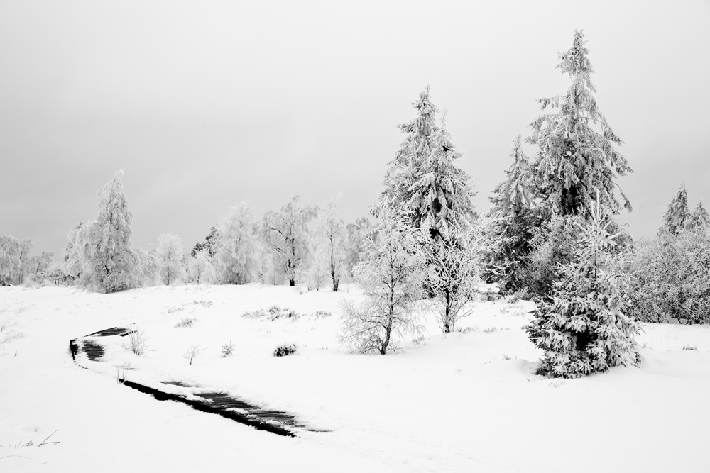 Winter im Hohen Venn 4